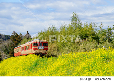 菜の花　なのはな　いすみ鉄道 89326226