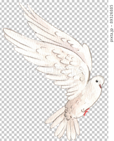 Hope refugees safe watercolor png Hope refugees safe watercolor png 89326885