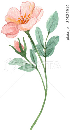 Hope refugees safe watercolor png 89326910