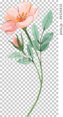 Hope refugees safe watercolor png 89326910