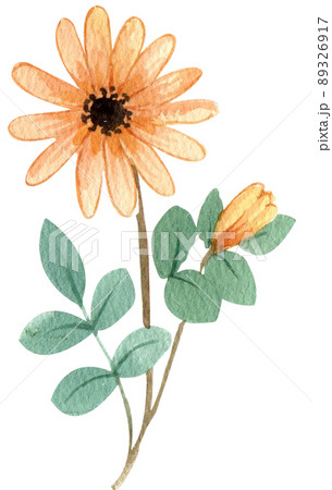 Hope refugees safe watercolor png 89326917