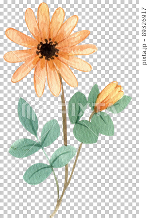 Hope refugees safe watercolor png Hope refugees safe watercolor png 89326917