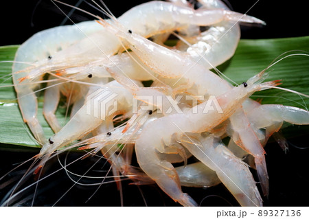 塗りの器に乗った富山のシロエビ 89327136