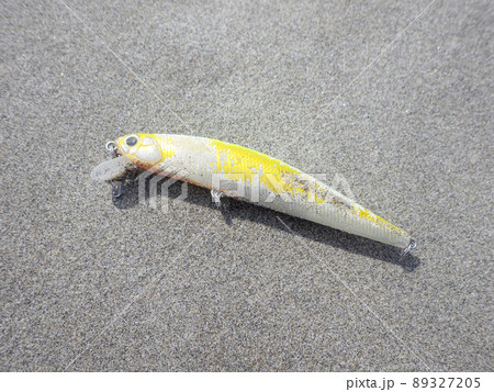 海洋プラスチックゴミ　釣り用品（ルアー） 89327205