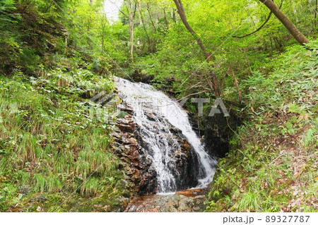 【北広島町 鳴滝】 【北広島町 鳴滝】 89327787