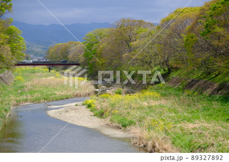 彦根八景 芹川の風景(滋賀・彦根)7 彦根八景 芹川の風景(滋賀・彦根)7 89327892