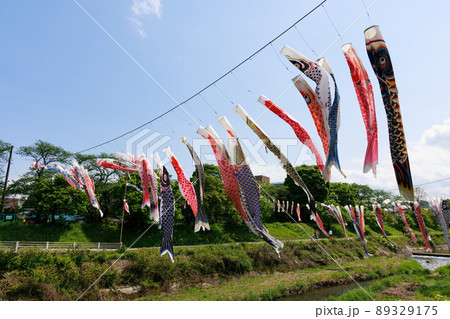 鯉のぼり 89329175