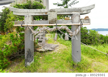【唐津市　弁天神社鳥居】 89329301