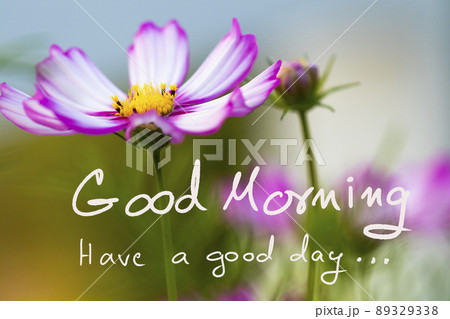 good morning have a good day message cardの写真素材 [89329338