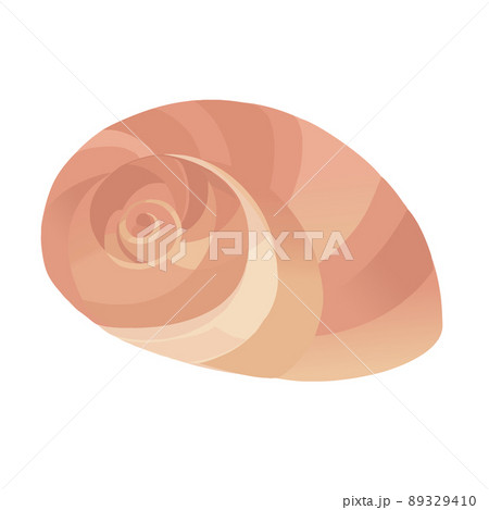 らせん状の貝殻 89329410