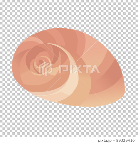らせん状の貝殻 89329410