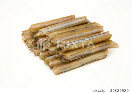 マテガイ 89329920