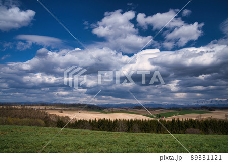 美瑛 風景 美瑛 風景 89331121