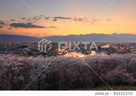 長野県　弘法山古墳の桜　夕焼け 89332350