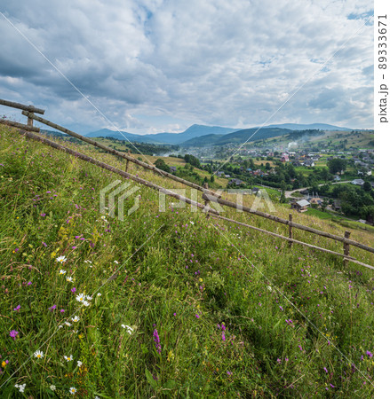 Carpathian mountain countryside summer meadows with beautiful wild flowers Carpathian mountain countryside summer meadows with beautiful wild flowers 89333671