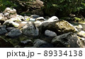 川 89334138