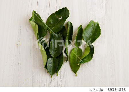 タイ料理に使われる食材のバイマックルー 89334858