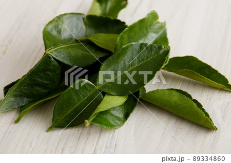 タイ料理に使われる食材のバイマックルー 89334860