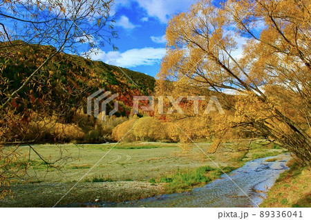 紅葉のニュージーランド アロータウン Autumn in Arrowtown, NZ 紅葉のニュージーランド アロータウン Autumn in Arrowtown, NZ 89336041