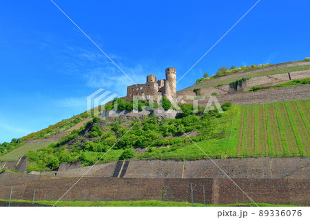 ドイツ　ライン川　周辺　クルーズ 89336076