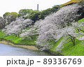 東京都　千鳥ヶ淵　満開の桜 89336769