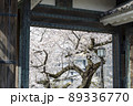 千鳥ヶ淵の田安門から満開の桜を見る 89336770