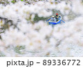ボートに乗って水上から桜を眺める人　千鳥ヶ淵 89336772