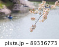 東京都　千鳥ヶ淵　満開の桜 89336773