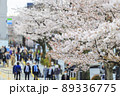 東京都市景観　千鳥ヶ淵　満開の桜　緊急事態宣言解除 89336775