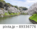 東京都　千鳥ヶ淵　満開の桜 89336776