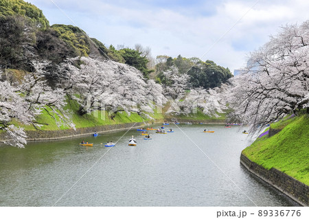 東京都 千鳥ヶ淵 満開の桜 東京都 千鳥ヶ淵 満開の桜 89336776