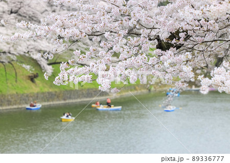 ボートに乗って水上から桜を眺める人　千鳥ヶ淵 89336777