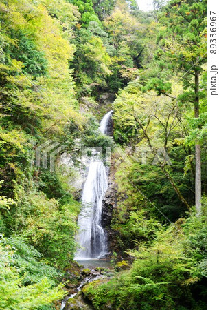 【宍粟市 氷ノ山後山那岐山国定公園 原不動滝】 【宍粟市 氷ノ山後山那岐山国定公園 原不動滝】 89336967