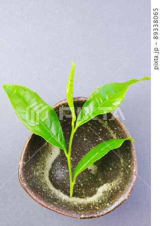 並んだ茶の葉 89338065
