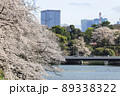 東京都　千鳥ヶ淵　満開の桜 89338322