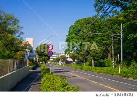 汐見台の風景 89338803
