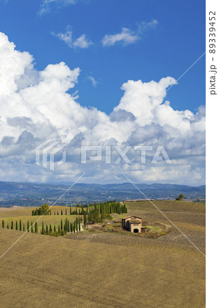 Typical Tuscan landscape near Siena, Tuscany, Italy 89339452