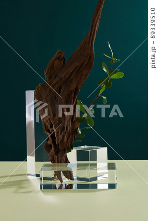 Front view of branch tree and white podium in blue background  89339510