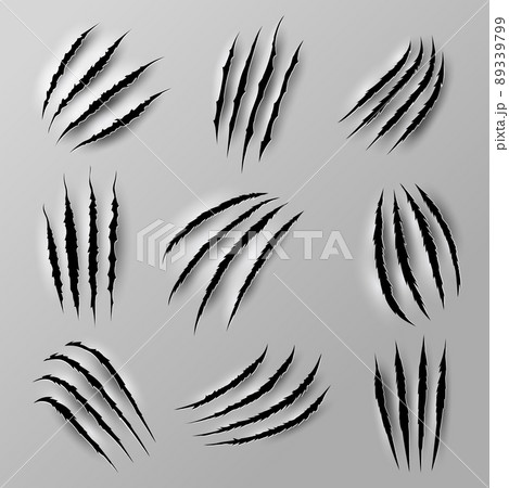 Bear and tiger claw marks and scratches from beast animal paw nails, realistic vector. Wild cat or lion and bear claw slashes, monster beast or werewolf attack scratches and shred traces 89339799