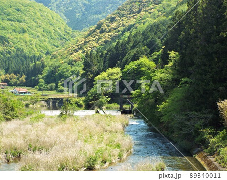 初夏の佐波川 89340011