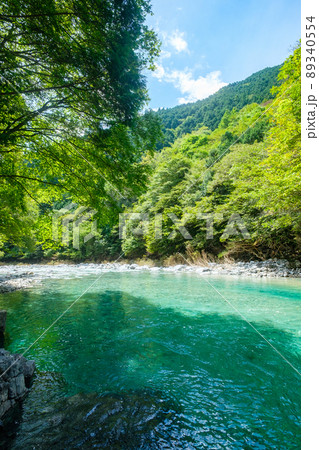 阿寺渓谷（夏） 89340554