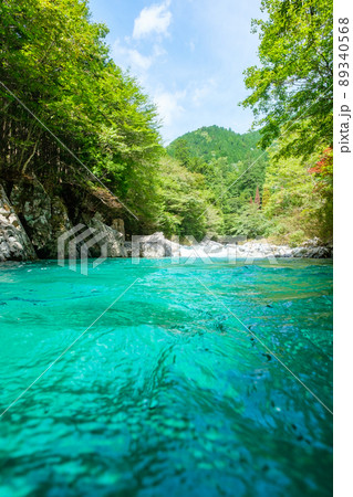 阿寺渓谷（夏） 89340568