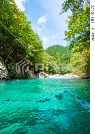 阿寺渓谷（夏） 89340570