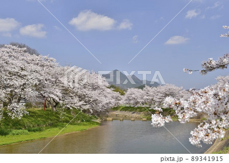 【奈良県宇陀市】宇陀川の桜並木 【奈良県宇陀市】宇陀川の桜並木 89341915