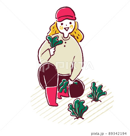 葉物の野菜を収穫するイラスト 89342194