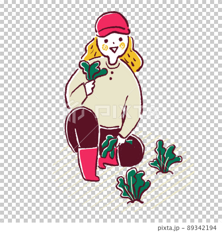 葉物の野菜を収穫するイラスト 89342194