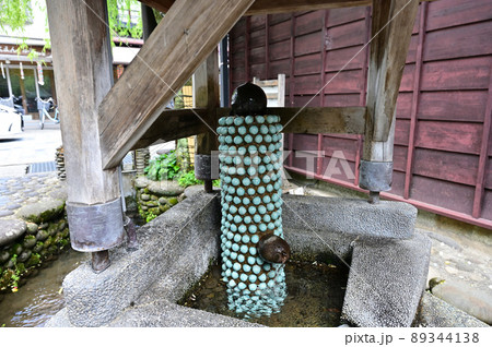 やなか水のこみち やなか水のこみち 89344138