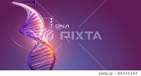 DNA double helix structure on a purple background. DNA double helix structure on a purple background. 89345344