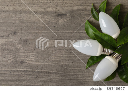 Energy saving bulbs with leaves on gray textured background 89346697