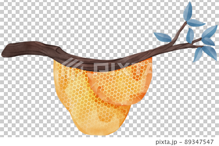 Honey set with jar, barrel, bees, honeycombs, buckwheat flowers. Isolate. watercolor illustration. 89347547